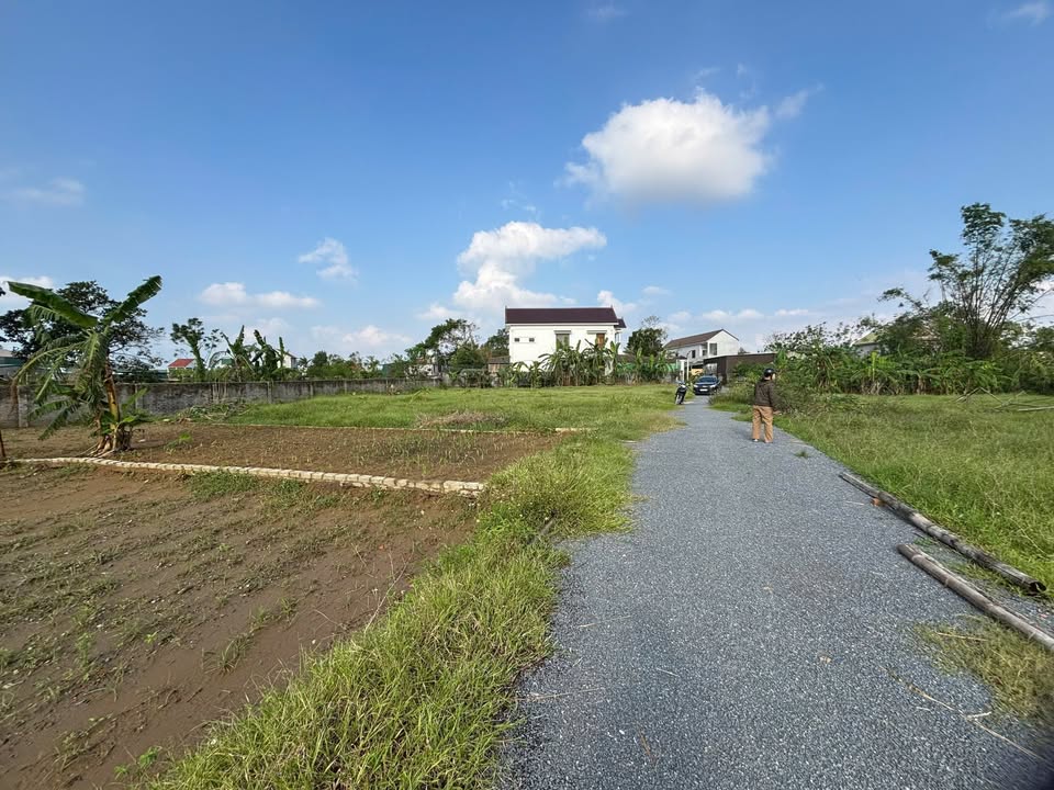 Đất phân lô Nghi Thái 905m² giá 9.05 tỷ - Cơ hội đầu tư hấp dẫn!