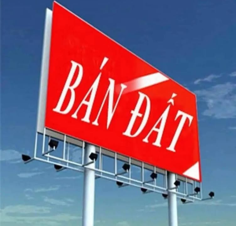 Đất nền hướng Đông tại Hồng Quang, Ý Yên - 400m² chỉ 3 tỷ - Đầu tư lý tưởng!