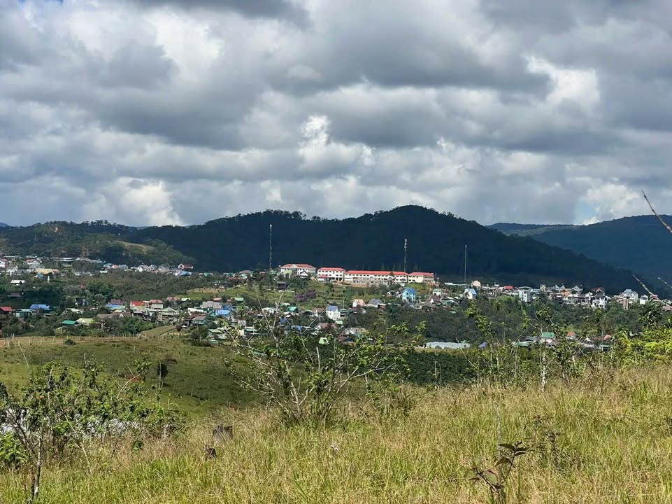 Đất nông nghiệp Đạ Nhim 5.500m² giá 2.5 tỷ - Khí hậu mát mẻ Đà Lạt!