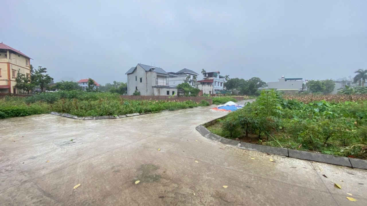 Đất dự án Hạ Bằng Thạch Thất 251m² giá từ 40 triệu - Đón đầu sóng Metro!