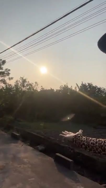 Đất thổ cư Xóm 5, Nghĩa Lâm, Nghĩa Hưng 224m² giá 1.1 tỷ - Đầu tư sinh lời ngay!