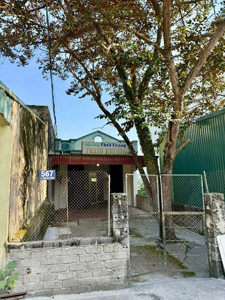 Nhà nguyên căn cho thuê tại 567 Trịnh Huy Quang, Thanh Hóa - Giá chỉ 2.5 triệu/tháng!