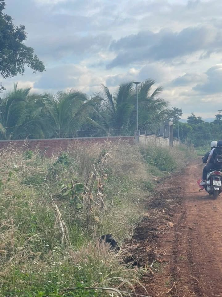 Đất nền 500m² phường Thành Nhất, Buôn Ma Thuột giá 465 triệu - Bớt lộc ngay!