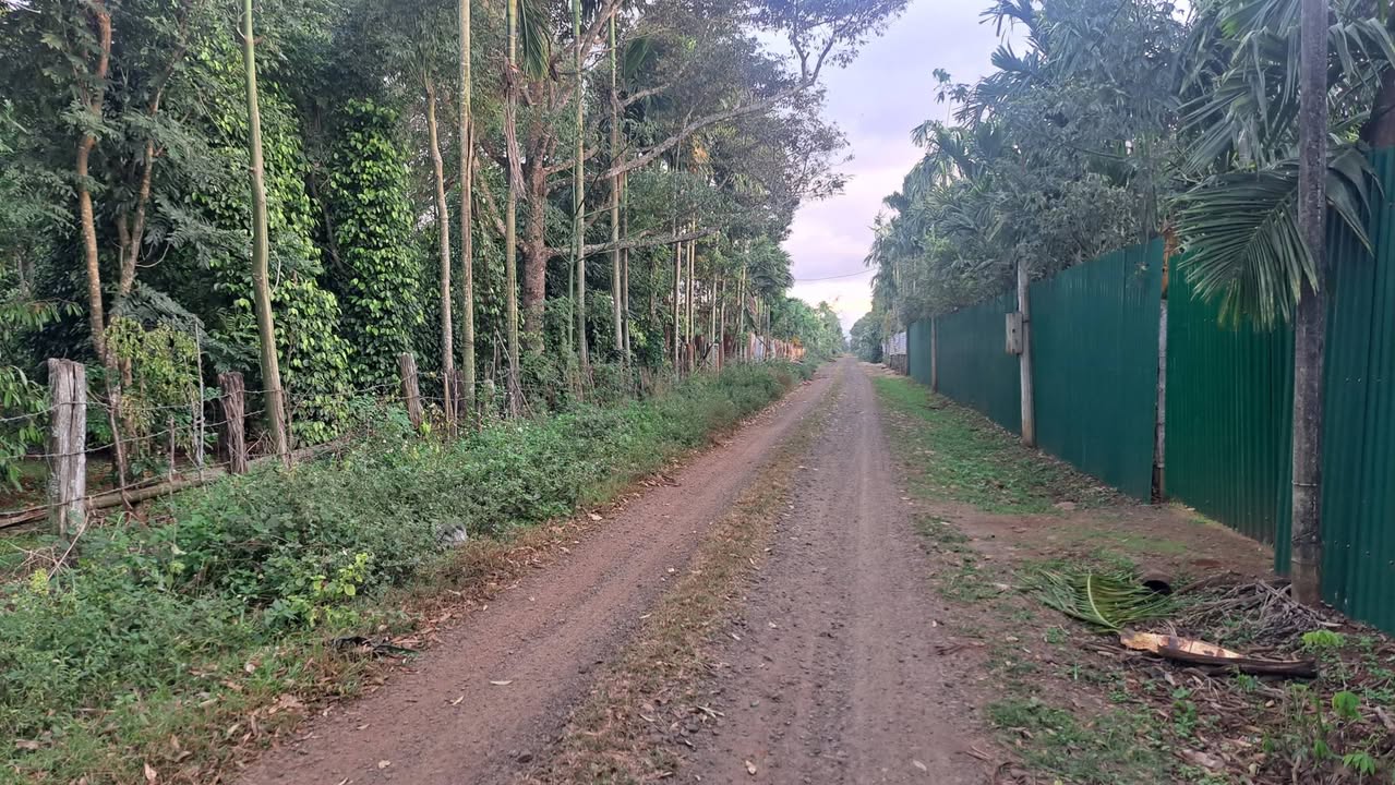 Đất nền đầu tư Cư Kuin 3868m² giá 600 triệu/sào - Cơ hội không thể bỏ lỡ!