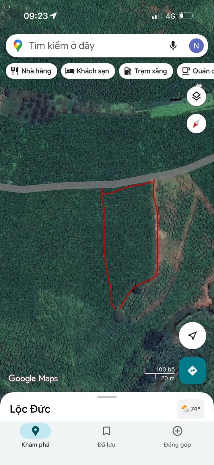 Đất cafe đẹp 8000m² tại Lộc Ngãi, Bảo Lâm - Giá chỉ 560 triệu