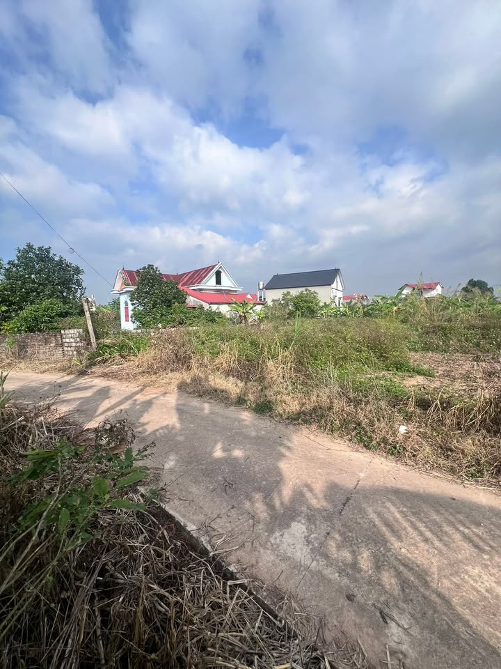 Đất thổ cư 80m² tại thôn Trại Mít, xã Đông Phú, huyện Lục Nam - Giá chỉ 500 triệu!