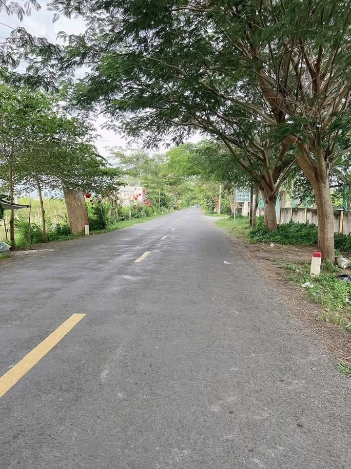 Lô đất mặt tiền ĐT 846, Mỹ Ngãi, 2427m² giá 3,9 tỷ - Cơ hội đầu tư tuyệt vời!