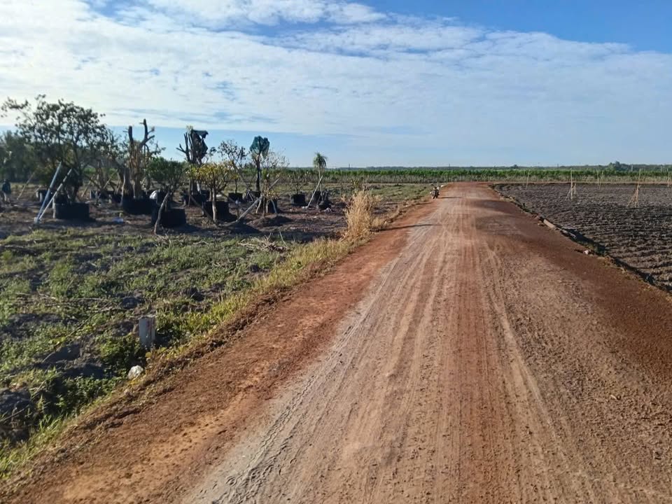 Đất nền Tân Hội Tân Châu 1032m² giá chỉ 205 triệu - Sổ đỏ chính chủ