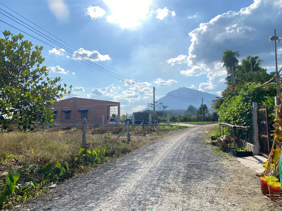 Đất thổ cư 150m² tại Suối Đá, Dương Minh Châu - Giá chỉ 289 triệu!