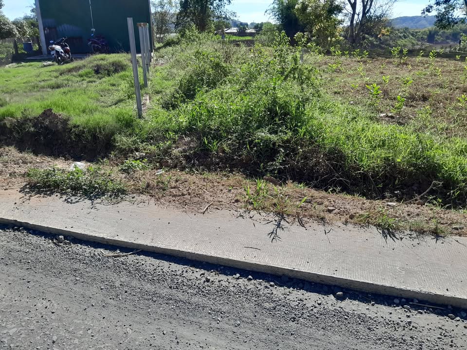 Đất nền Bù Đăng 300m² giá 200 triệu - Tiềm năng đầu tư lớn!