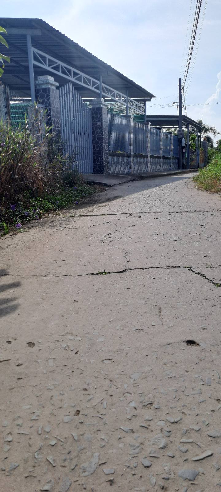 Đất nền Ấp Vạn Thành, Xã Bình Nghị 220m² giá chỉ 360 triệu - Sổ hồng chính chủ!