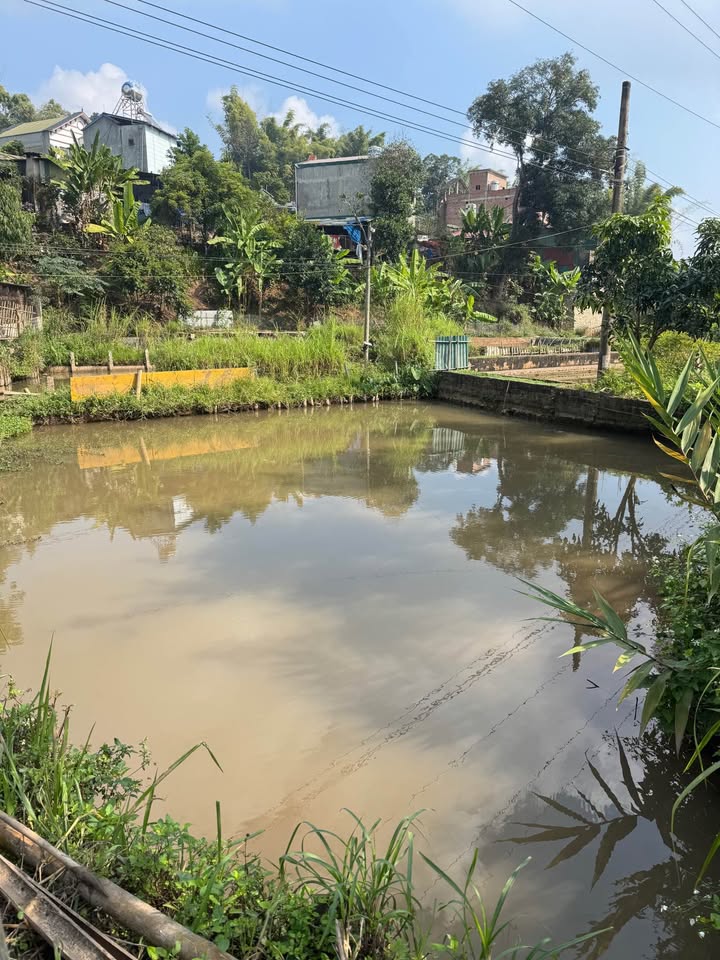 Đất nền 220m² tại khu phố Chậu, phường Chiềng Cơi - Đầu tư sinh lời nhanh chóng!