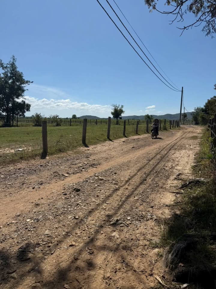 Đất thổ cư Thuận Hòa, Hàm Thuận Bắc 6200m² chỉ 150 triệu - Mảnh vườn lý tưởng cho gia đình!