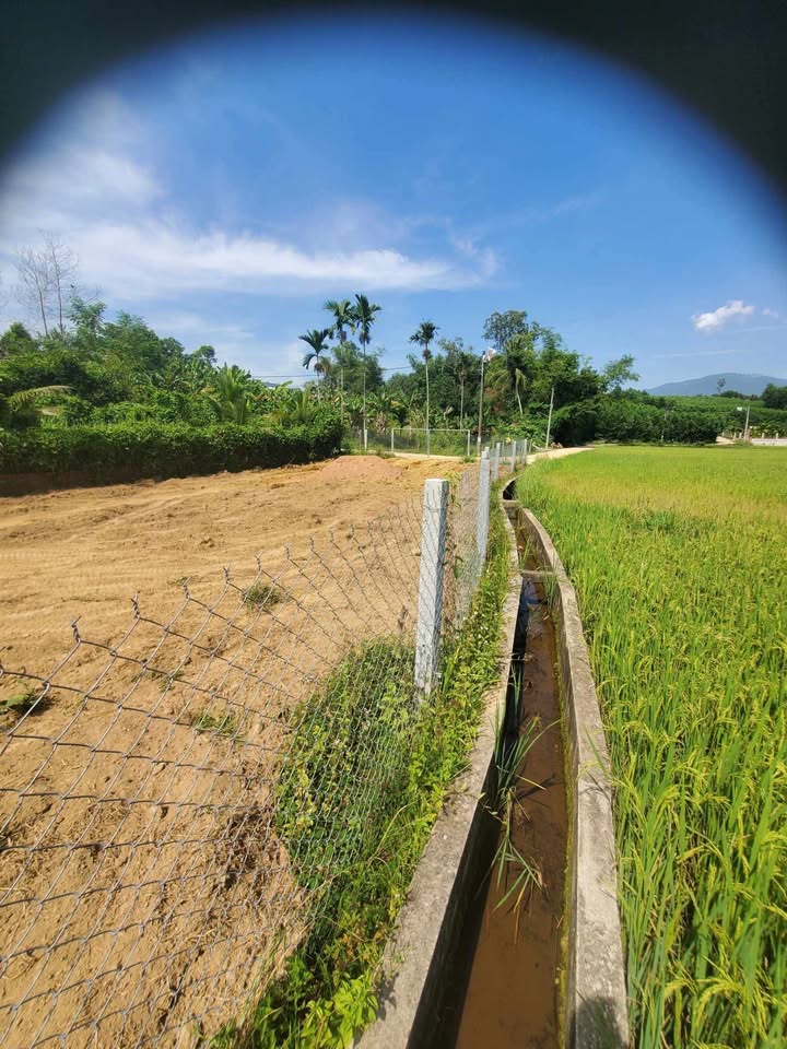 Đất nền Hòa Nhơn 600m² giá 200 triệu - Cơ hội đầu tư tuyệt vời!