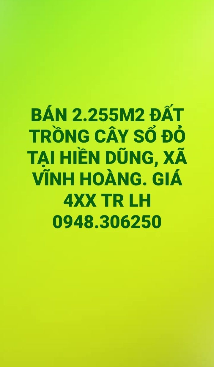 Đất trồng cây lâu năm tại thôn Hiền Dũng, Vĩnh Hoàng 2500m² - Tiềm năng sinh lợi cao!