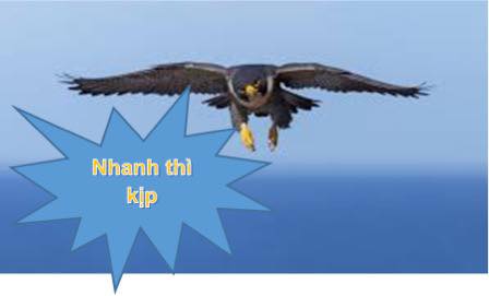 Đất thổ cư 200m² và đất vườn 800m² tại Sơn Hà, Hoài Đức - Giá chỉ 19 tỷ!