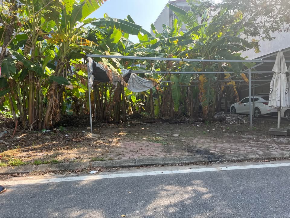 Lô đất 100m² tại khu đô thị Tùng Bách - Giá thỏa thuận, chính chủ bán gấp!