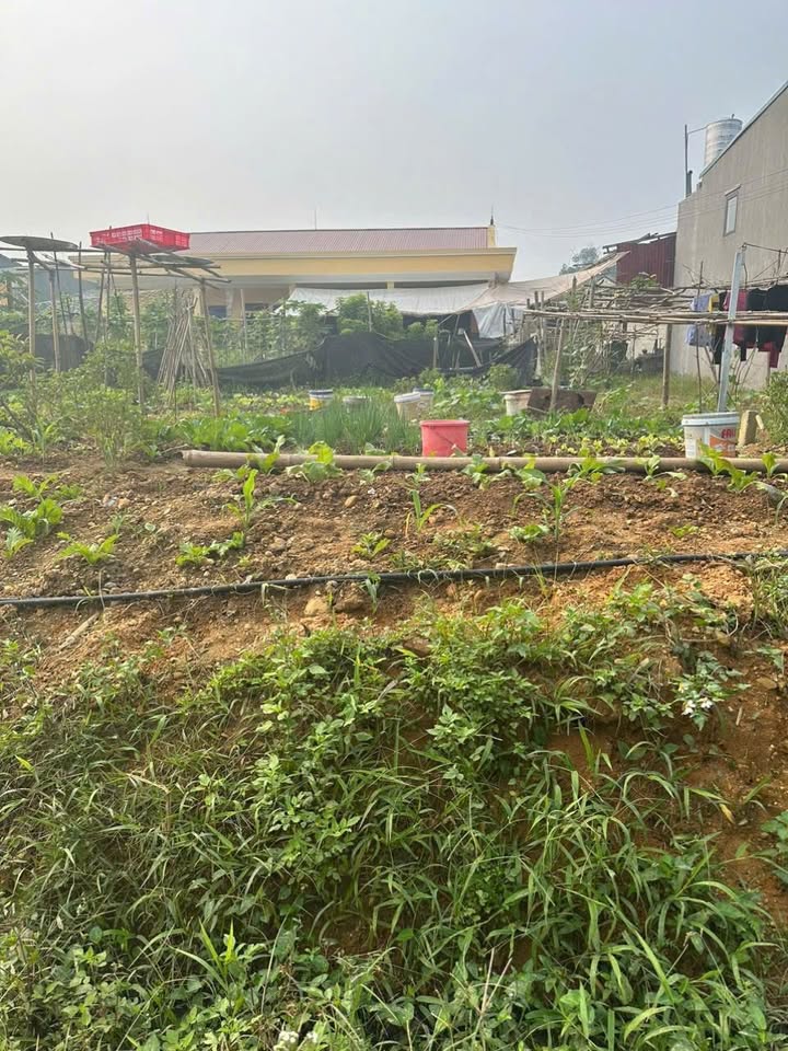 Đất nền Yên Bái 90m² giá 1 tỷ - Vị trí trung tâm, tiện lợi cho đầu tư!