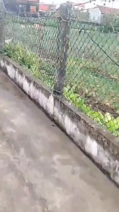 Đất nền Hải Chính 800m² mặt tiền 29m - Gần biển, giá thỏa thuận!