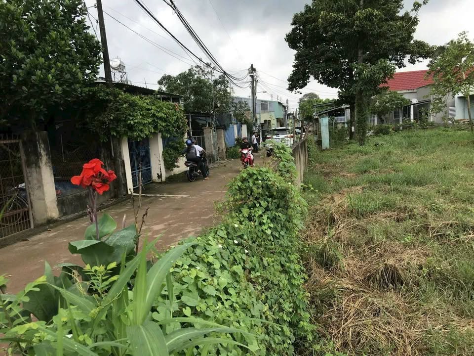 Đất nền 1000m² tại xã Bình Minh, Đồng Nai - Giá chỉ 4 tỷ, sổ hồng chính chủ!