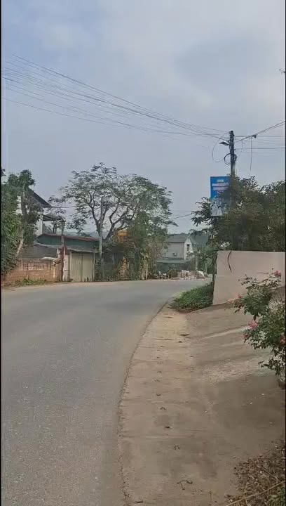 Lô đất mặt đường Tỉnh lộ 315 - Phường Quang Húc, Tam Nông, 272,7m² - Đầu tư sinh lời hấp dẫn!