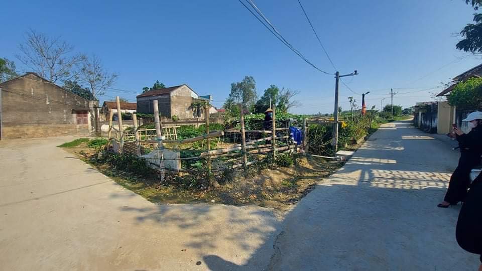 Đất nền Thuần Lộc Hậu Lộc 300m² giá chỉ 5.5 triệu/m² - Cơ hội đầu tư hấp dẫn!