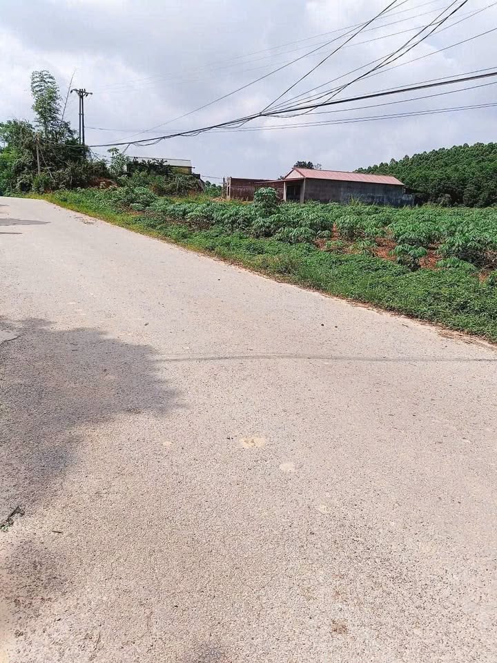 Đất mặt tiền tỉnh lộ 268 Đồng Vương 190m² - Kinh doanh thuận lợi ngay trung tâm!