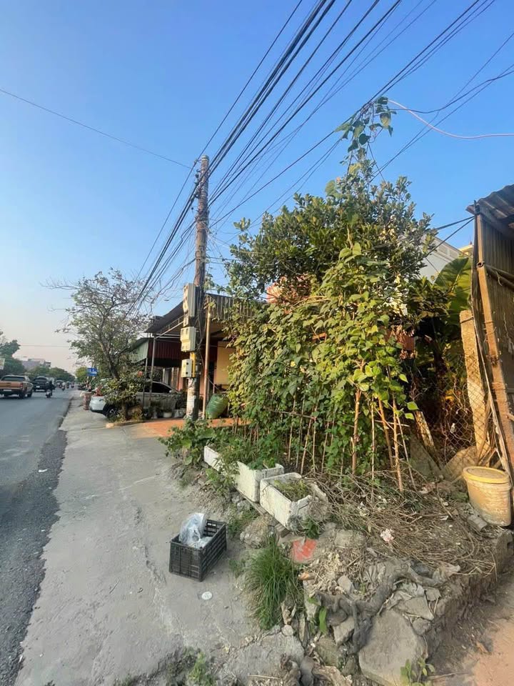 FrontHouse 100m² mặt đường 351 - TDP Cách Hạ, phường An Dương giá 6.2 tỷ - Vị trí kinh doanh lý tưởng!