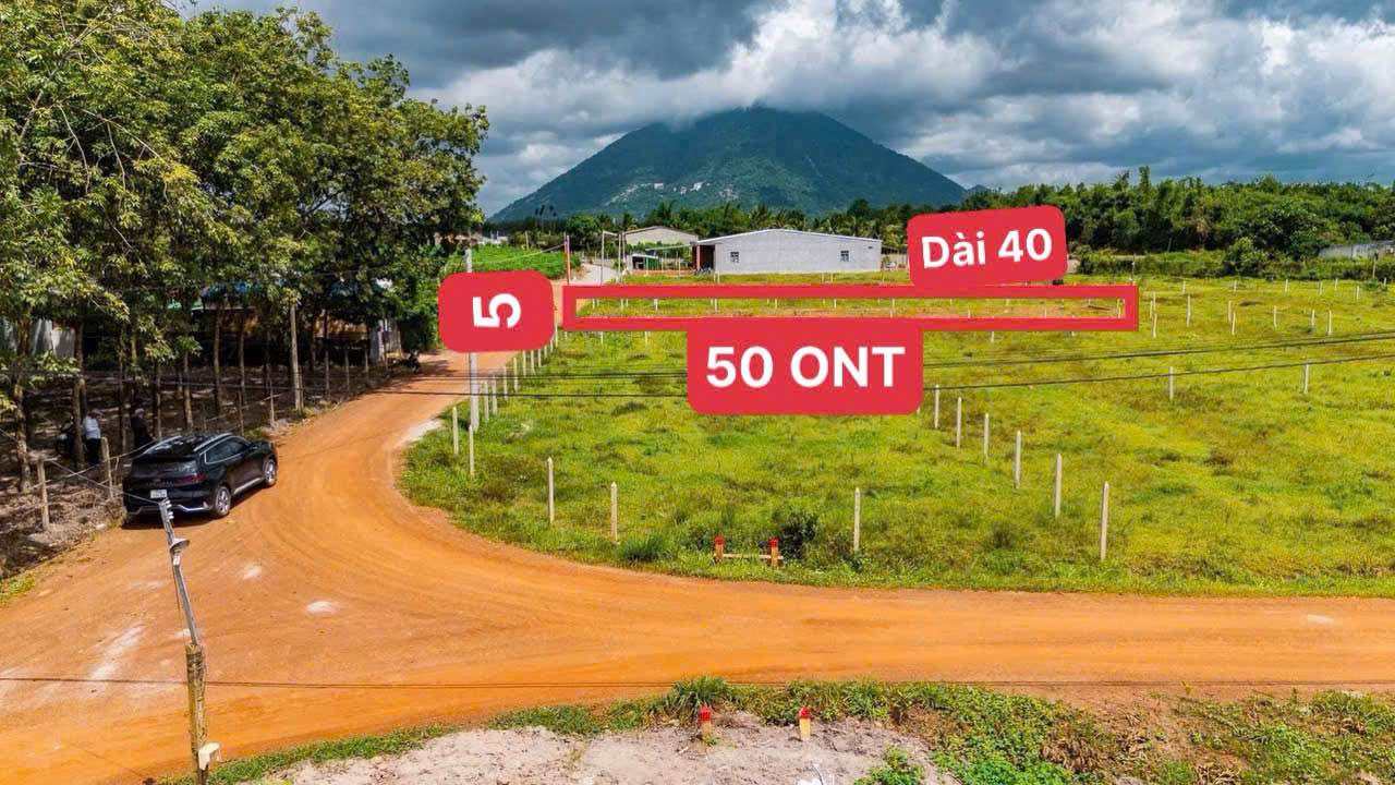 Đất thổ cư Suối Đá Dương Minh Châu 200m² giá 350 triệu - Cơ hội đầu tư hấp dẫn!