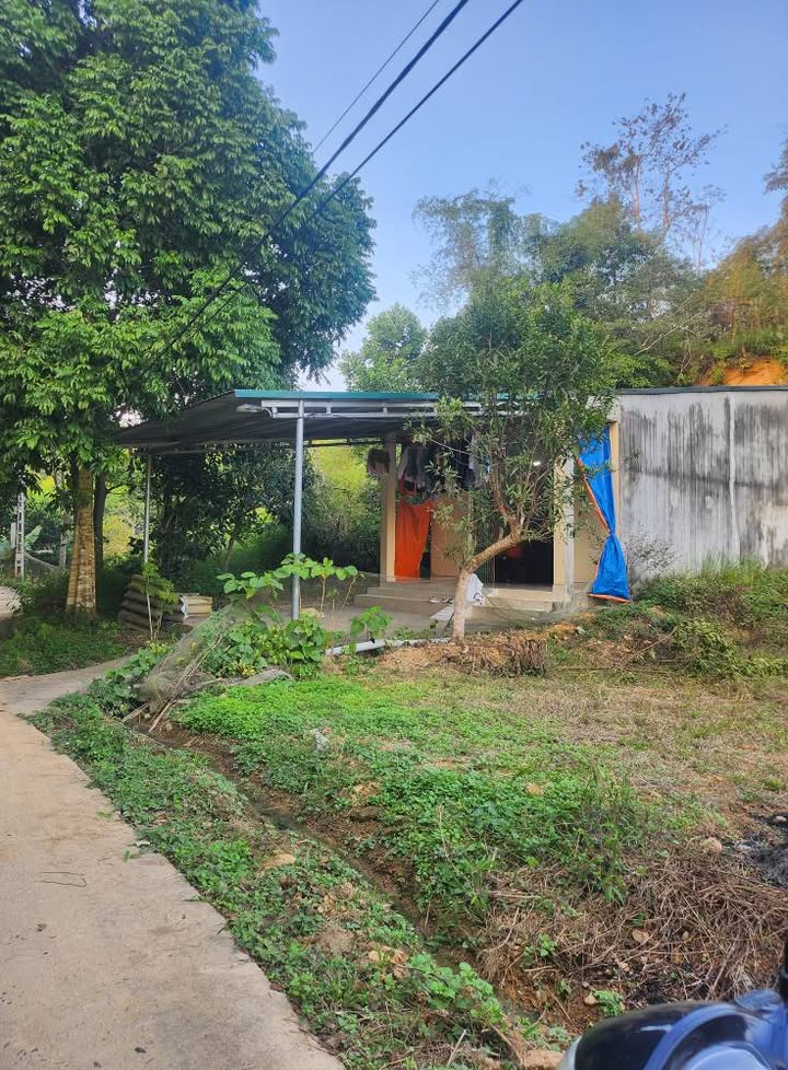 Lô đất Kim Phú 2, Tuyên Quang 300m² chỉ 1 tỷ - Cơ hội đầu tư tuyệt vời!