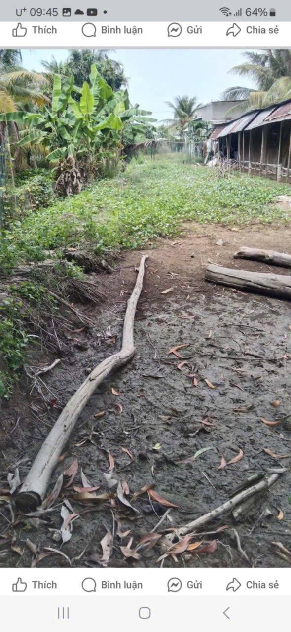 Đất nền Cần Thơ 443m² giá 1.4 tỷ - Đầu tư sinh lời hoặc an cư lý tưởng!