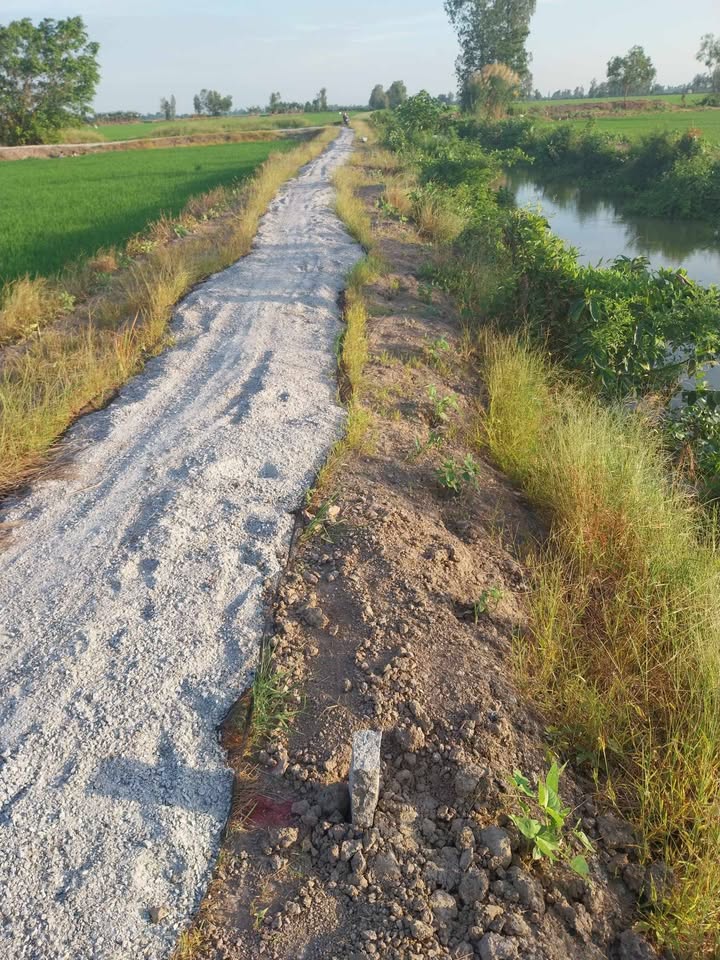 Đất nền Thới Đông Cờ Đỏ 3000m² giá 600 triệu - Cơ hội đầu tư lý tưởng!