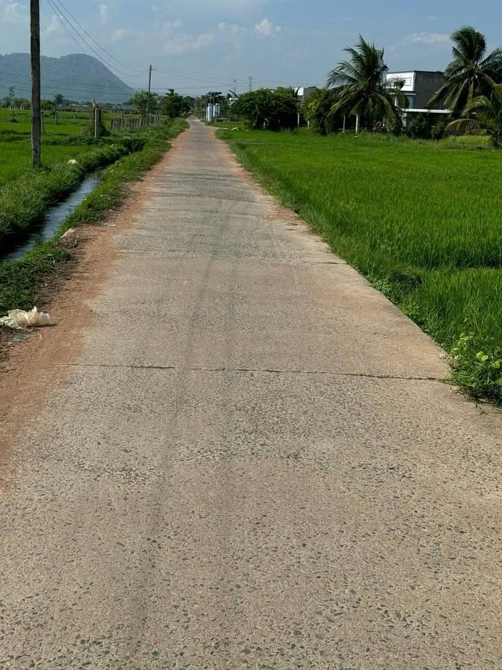 Đất thổ cư 200m² Xã Hàm Phú giá chỉ 550 triệu - Mặt tiền thuận lợi, tiện ích đầy đủ!