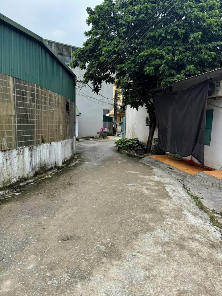 Đất thổ cư phường Nguyễn Trãi, 84m² giá 1 tỷ - Nhanh tay sở hữu!