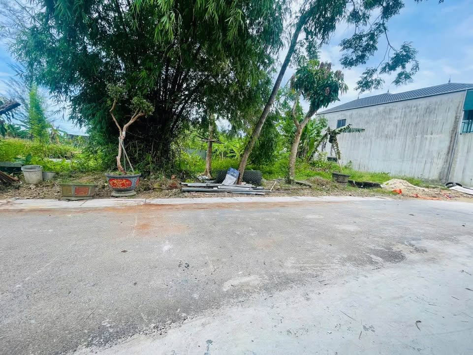 Lô đất Trần Phú Hà Tĩnh 99m² giá 1.6 tỷ - Cơ hội đầu tư tuyệt vời!