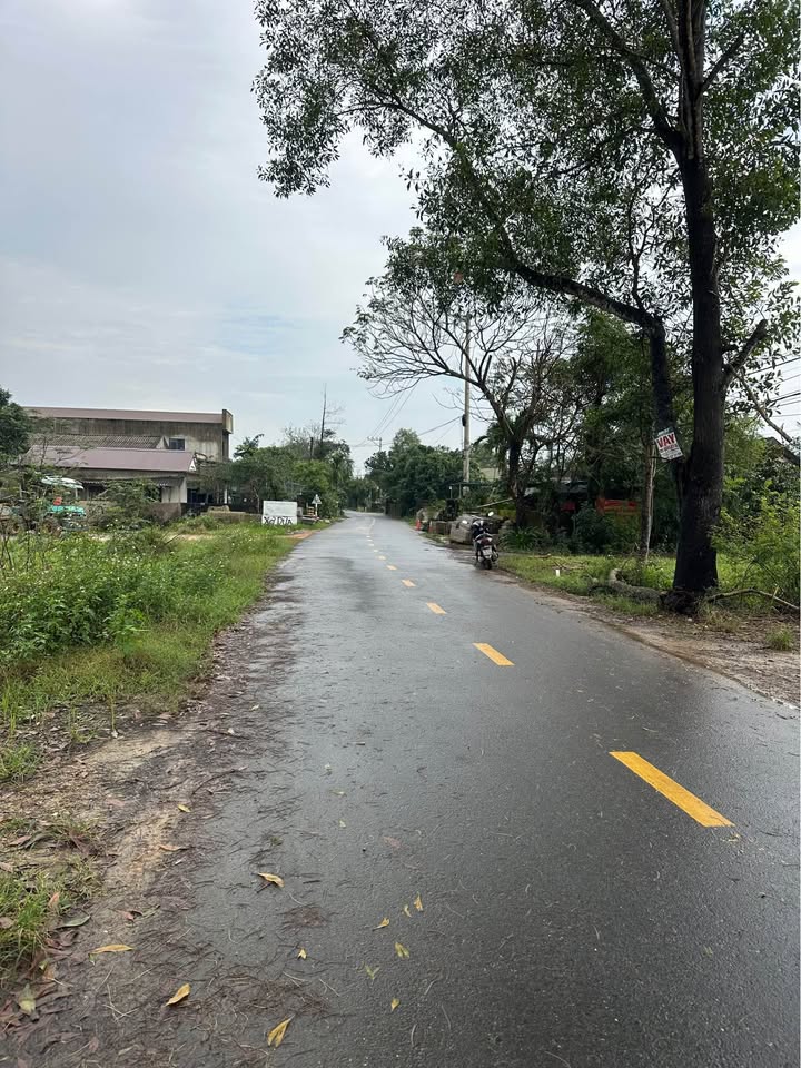 Đất mặt tiền đường Bảo Đại, Triệu Giang 140m² giá 800 triệu - Đầu tư sinh lời ngay!