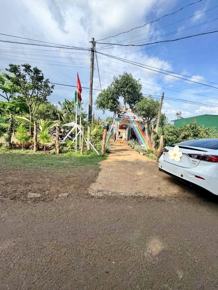 Đất nền Bùi Viện, Pleiku 230m² giá 750 triệu - Thích hợp đầu tư sinh lời!