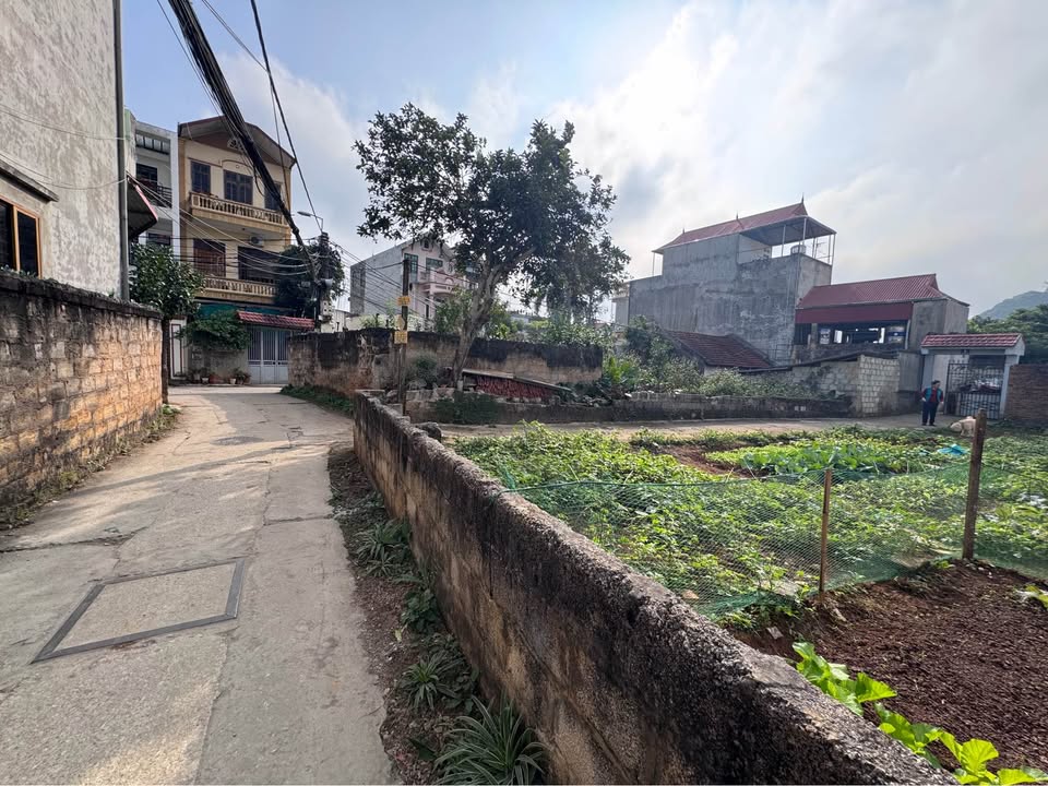 Đất mặt đường Lê Quý Đôn, Tam Thanh, 188m² giá 2 tỷ - Đường ô tô đỗ cửa