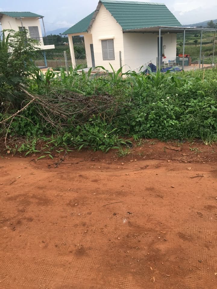 Đất mặt tiền Tân Thuận, xã Tân Hội, huyện Đức Trọng 2000m² giá 1.45 tỷ - Cơ hội đầu tư tuyệt vời!