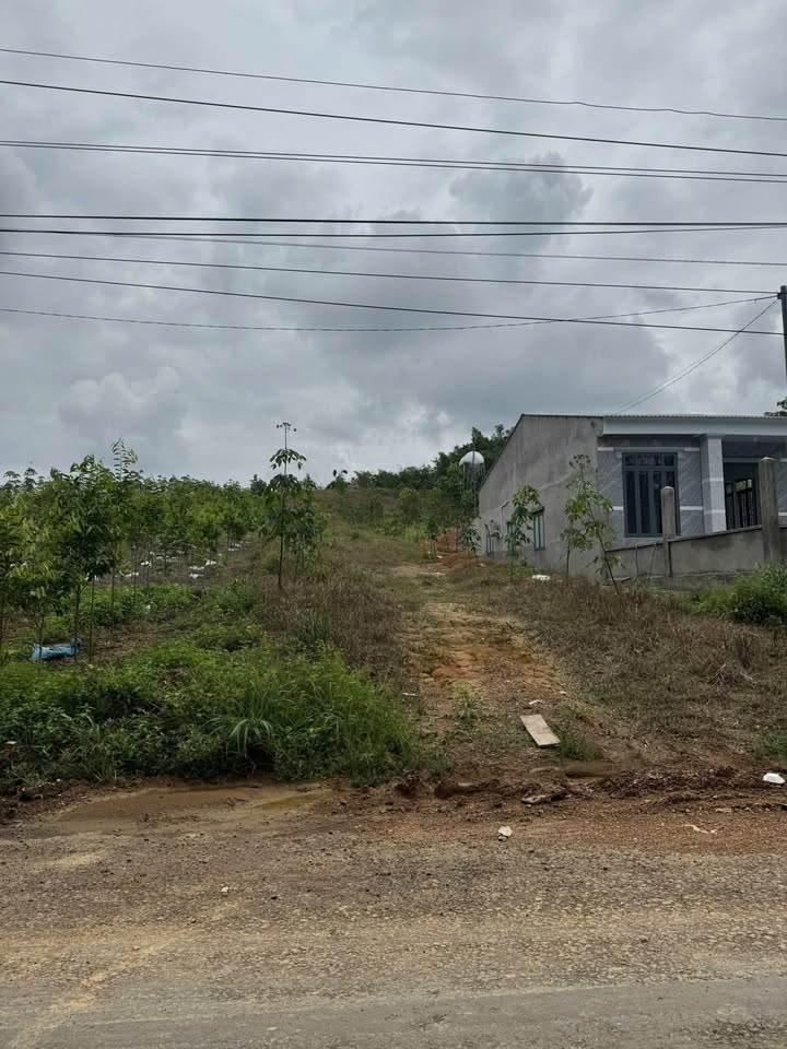 Đất nền 9.000m² tại ấp 1, xã Đồng Tâm, giá 1.5 tỷ - Phù hợp làm nhà vườn