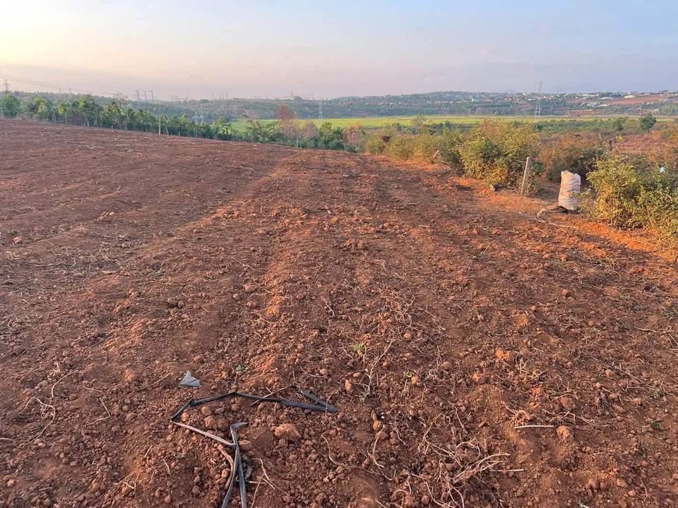 Đất nền đẹp tại Làng Thông Ngó, Pleiku 1318m² giá 430 triệu - Đầu tư sinh lời hấp dẫn!