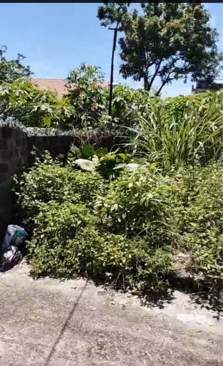 Đất nền Cẩm Thịnh 54m² giá chỉ 500 triệu - Cơ hội đầu tư hiếm có!