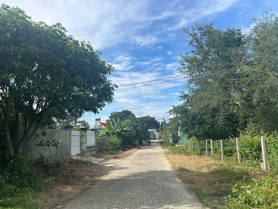 Đất thổ cư tại Thôn 3, Phường Đắk Cấm, Kon Tum 492m² - Vị trí đẹp, giá tốt!