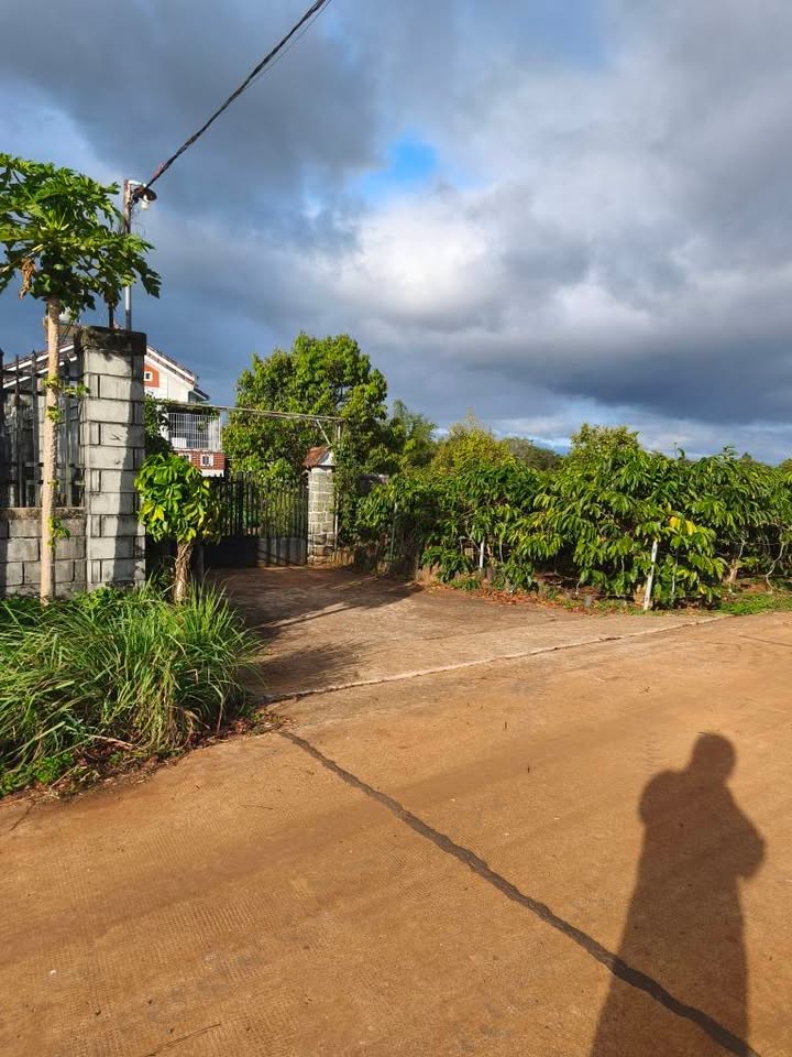 Đất nền An Phú Pleiku 120m² giá thỏa thuận - Hẻm thông thoáng, gần chợ!