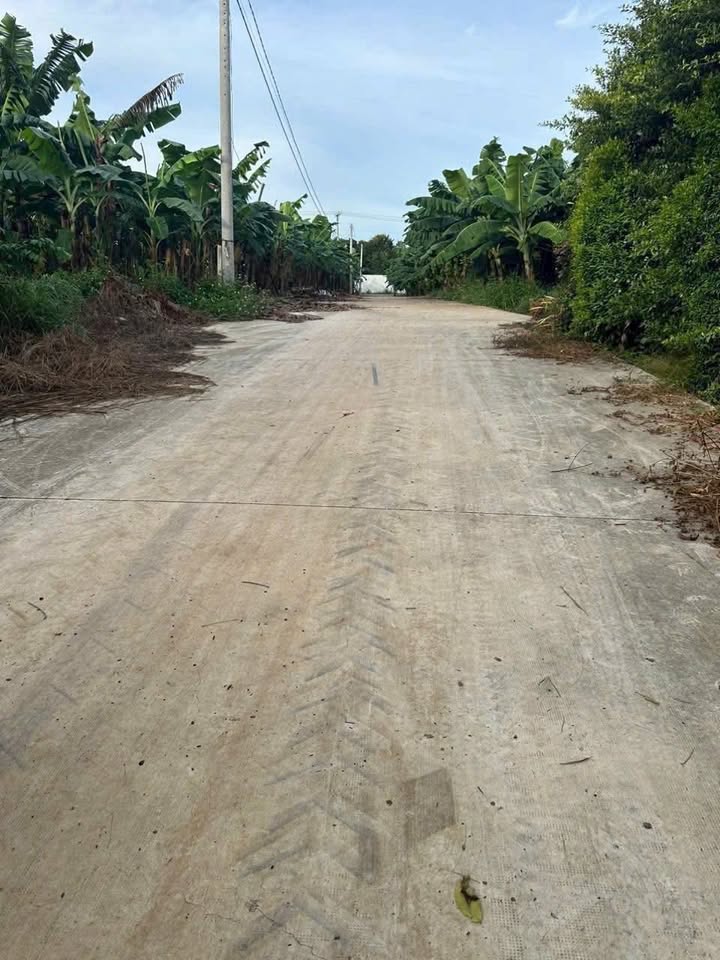 Đất nền Gia Tân 1, Thống Nhất, Đồng Nai 1000m² giá chỉ 800 triệu - Cơ hội đầu tư hiếm có!