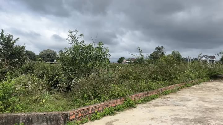 Đất thổ cư Ea Ô, Ea Kar, Đắk Lắk 1980m² giá 1.35 tỷ - Đầu tư sinh lời cao!