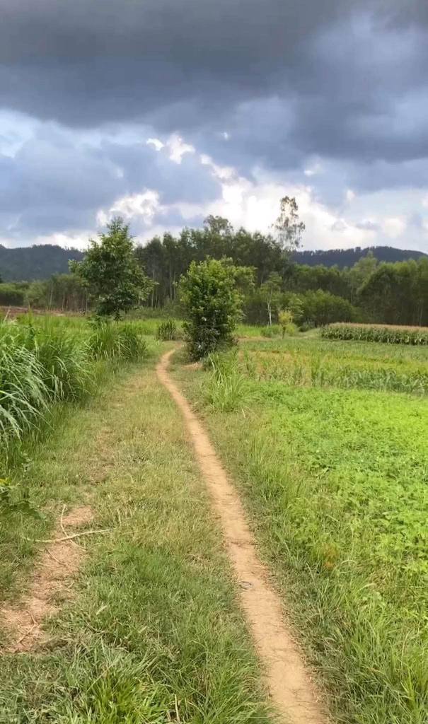 Đất nền 1185m² xã Tịnh Hiệp, Sơn Tịnh giá 105 triệu - Cơ hội đầu tư tuyệt vời!