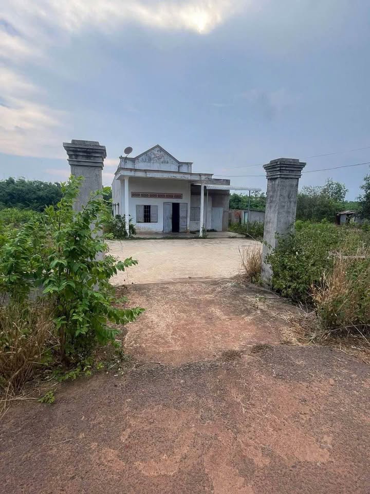 Đất nền Hòa Hiệp, Xuyên Mộc 1000m² giá 1.1 tỷ - Cơ hội đầu tư hấp dẫn!