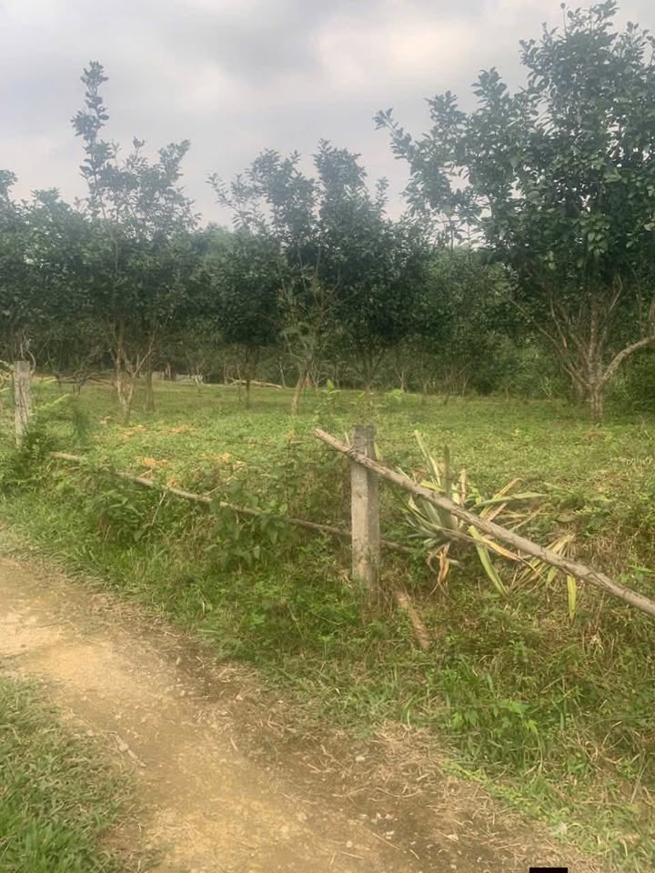 Đất nền Hương Khê 1,3ha giá 900 triệu - Cơ hội đầu tư hấp dẫn!