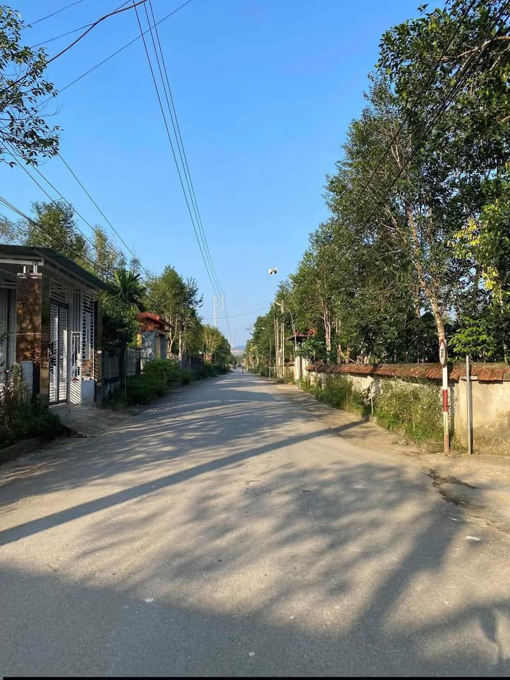 Đất thổ cư mặt tiền đường nhựa Phúc Trạch 161m² giá 140 triệu - Cơ hội đầu tư hấp dẫn!